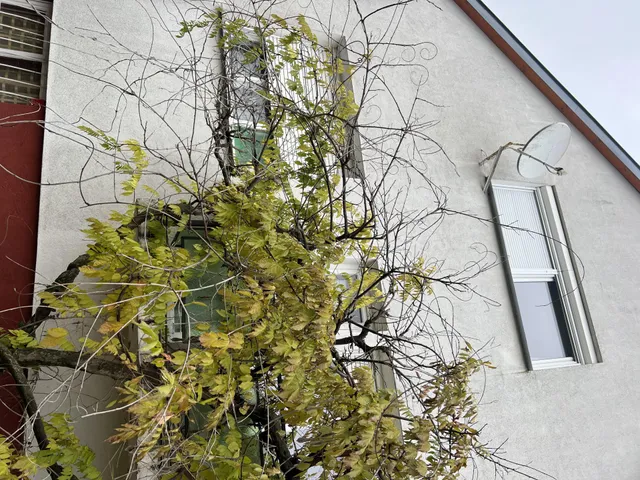 Eladó ház Keszthely 183 nm