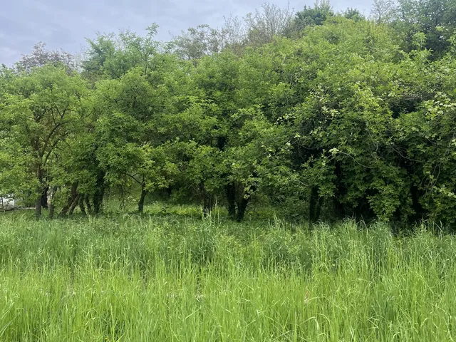 Eladó telek Hévíz 600 nm