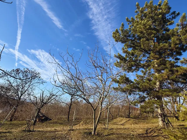 Eladó telek Siófok, Töreki, Jodi hegy 111 1354 nm