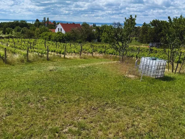 Eladó telek Felsőörs, Rozmaring utca 2419 nm