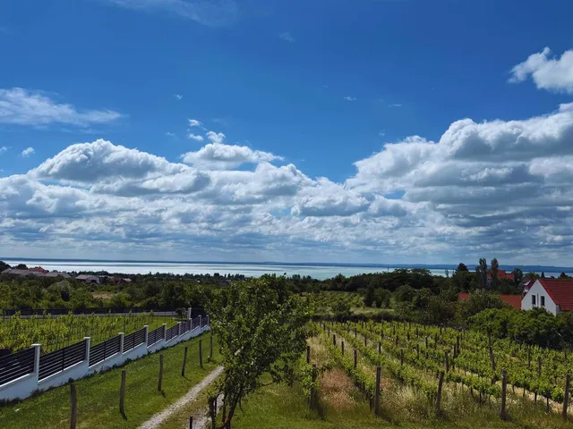 Eladó telek Felsőörs, Rozmaring utca 2419 nm