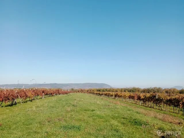 Eladó mezőgazdasági ingatlan Balatonkeresztúr 2870 nm