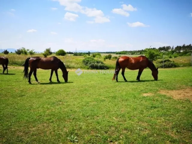 Eladó mezőgazdasági ingatlan Fót 156 nm