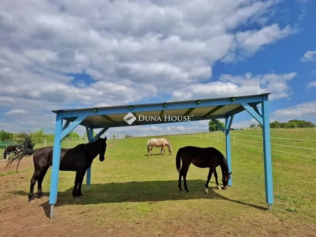 Eladó mezőgazdasági ingatlan Fót 156 nm