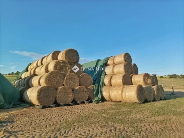 Eladó mezőgazdasági ingatlan Fót 156 nm
