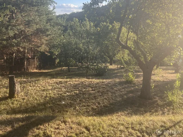 Eladó mezőgazdasági ingatlan Somoskőújfalu 931 nm