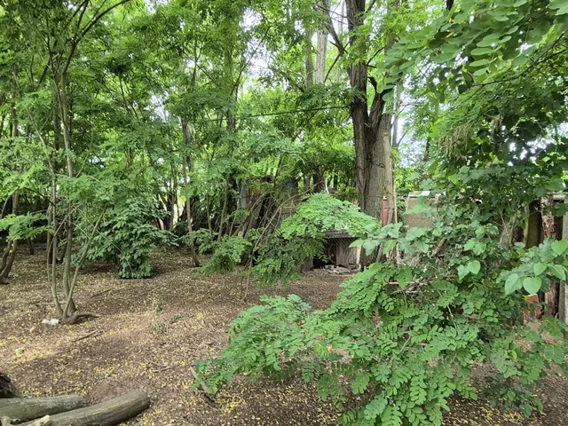 Eladó mezőgazdasági ingatlan Gyál 240 nm