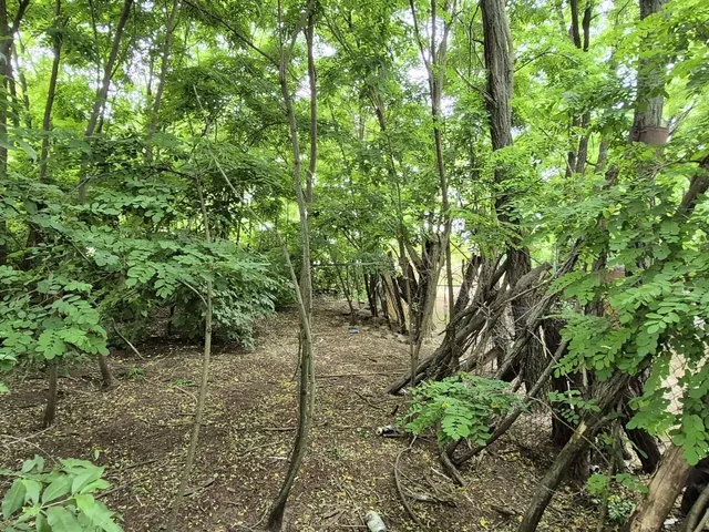 Eladó mezőgazdasági ingatlan Gyál, külterület 240 nm