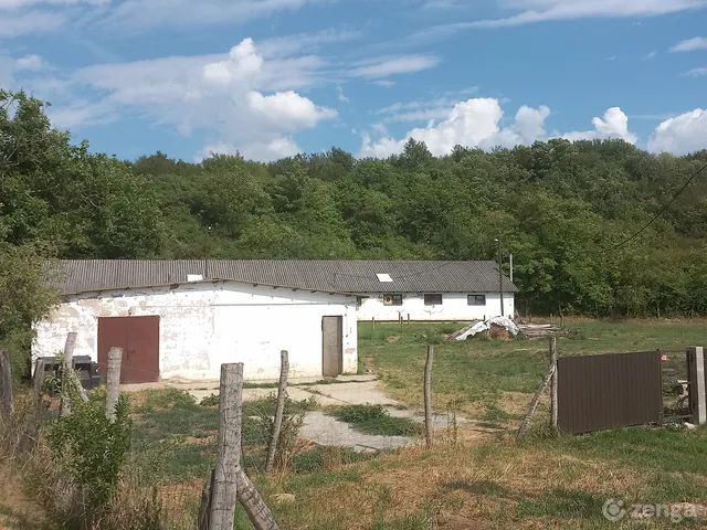 Eladó mezőgazdasági ingatlan Szécsény 8729 nm
