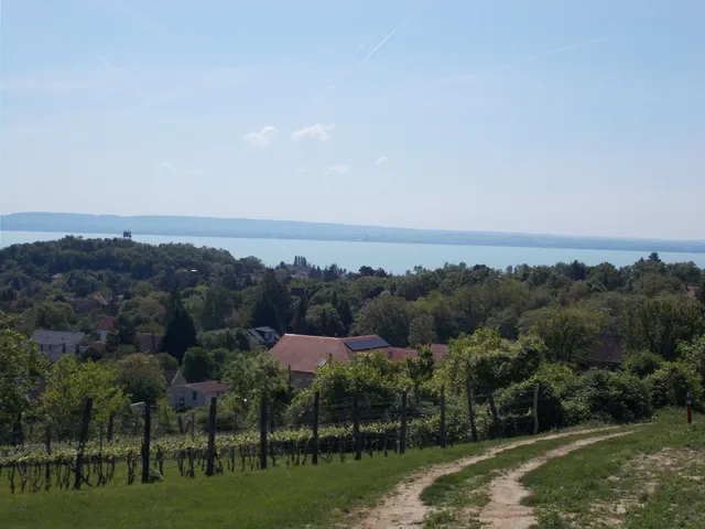 Eladó mezőgazdasági ingatlan Ábrahámhegy 40 nm