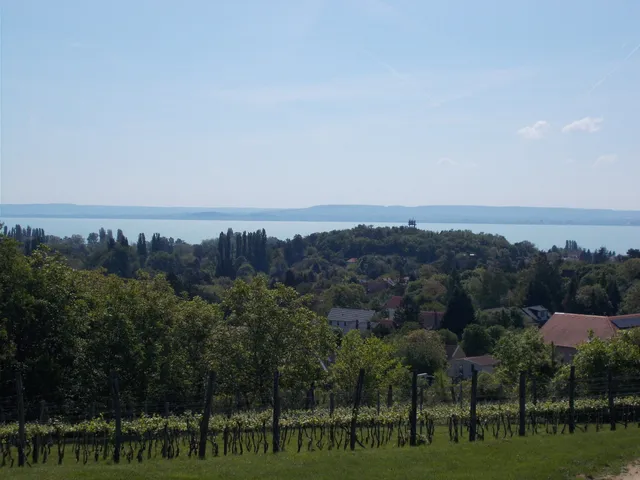 Eladó mezőgazdasági ingatlan Ábrahámhegy 40 nm