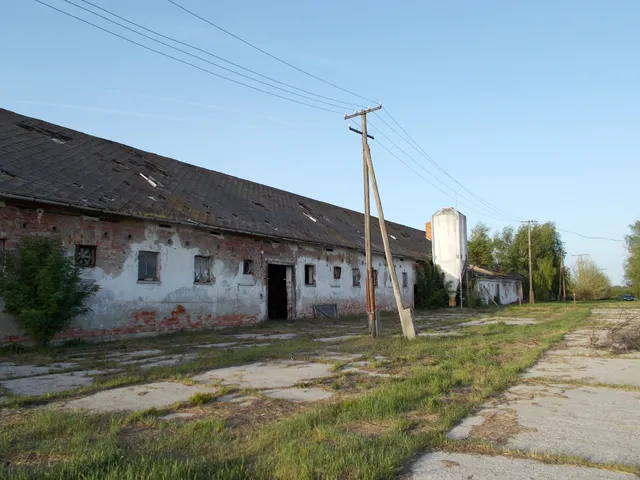 Eladó mezőgazdasági ingatlan Kisberzseny 2200 nm