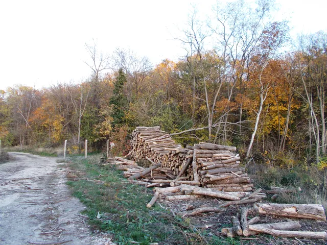 Eladó mezőgazdasági ingatlan Nádasdladány 597322 nm
