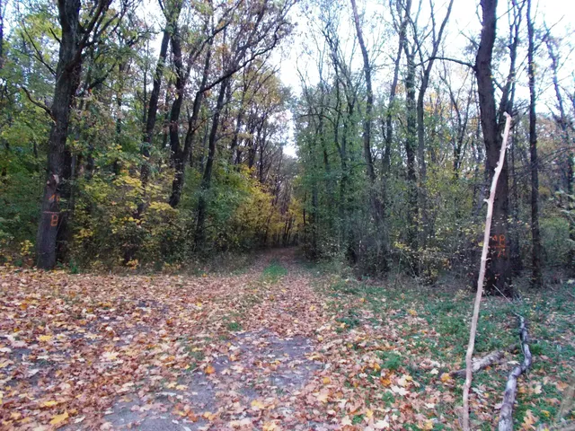 Eladó mezőgazdasági ingatlan Nádasdladány 597322 nm