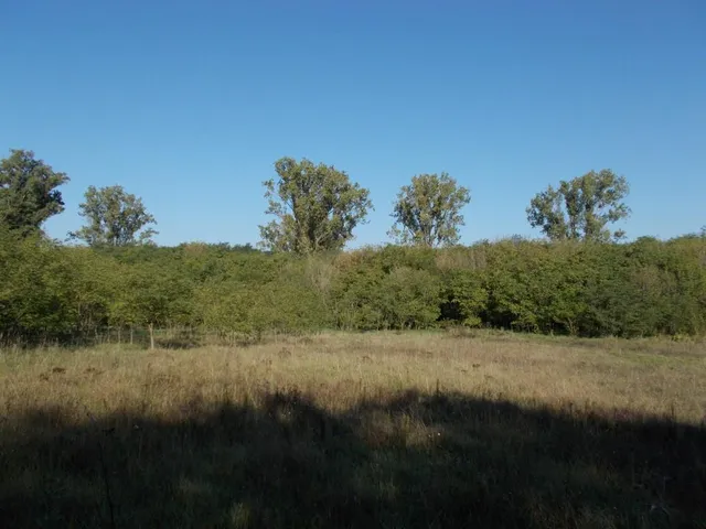 Eladó mezőgazdasági ingatlan Nagytarcsa 40000 nm
