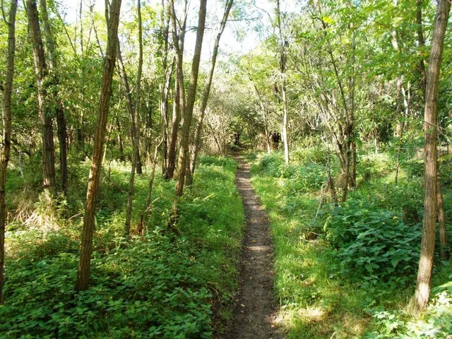 Eladó mezőgazdasági ingatlan Nagytarcsa 40000 nm