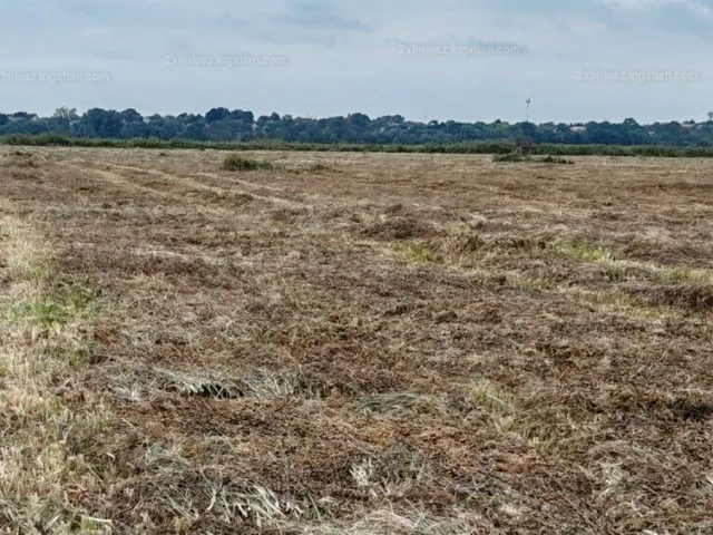 Eladó mezőgazdasági ingatlan Sármellék 518873 nm