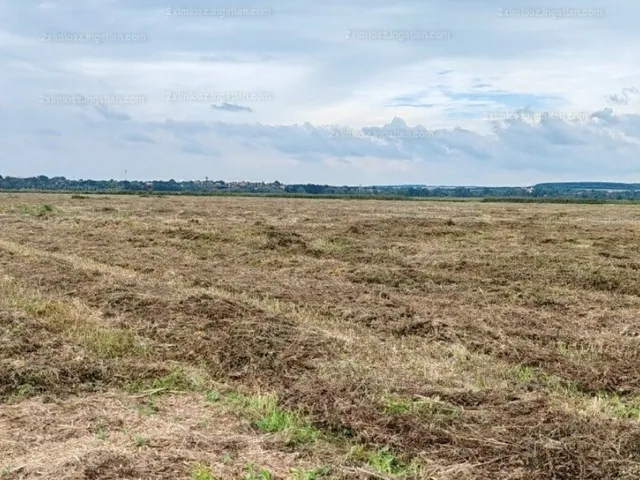 Eladó mezőgazdasági ingatlan Sármellék 518873 nm