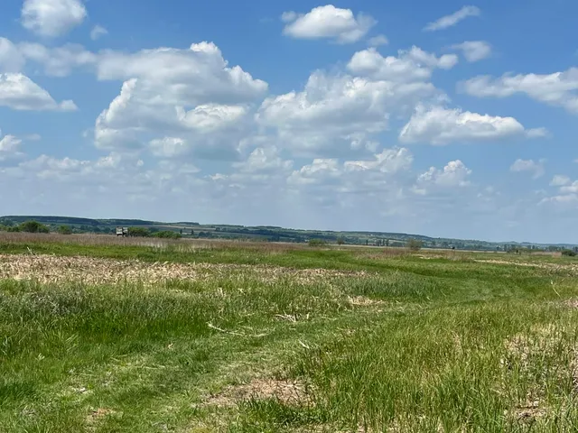 Eladó mezőgazdasági ingatlan Sármellék 518873 nm