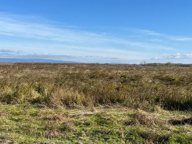 Eladó mezőgazdasági ingatlan Sármellék 518873 nm