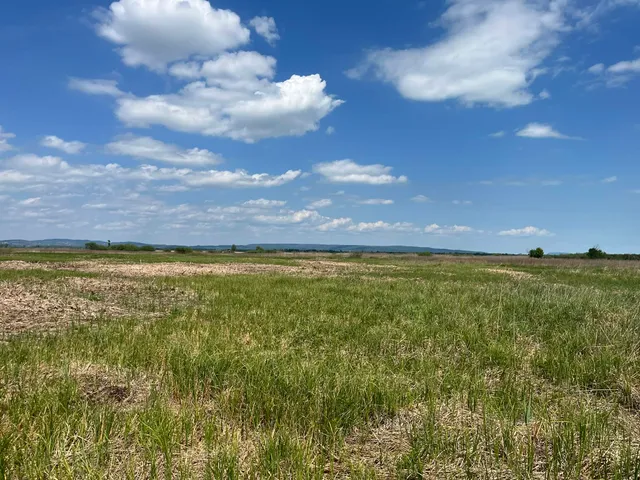 Eladó mezőgazdasági ingatlan Sármellék 518873 nm