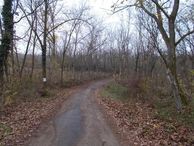 Eladó mezőgazdasági ingatlan Ságvár 354556 nm