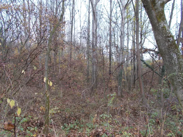 Eladó mezőgazdasági ingatlan Ságvár 354556 nm