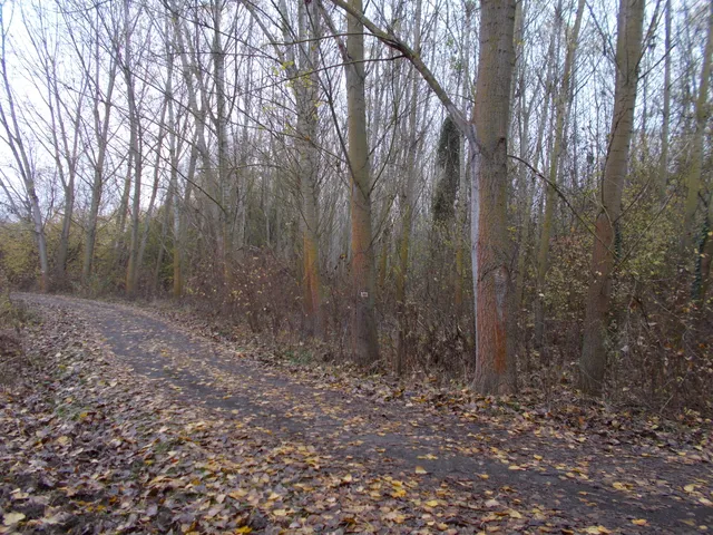 Eladó mezőgazdasági ingatlan Ságvár 354556 nm