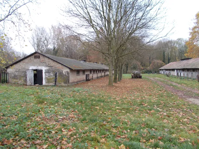 Eladó mezőgazdasági ingatlan Sümeg 2300 nm