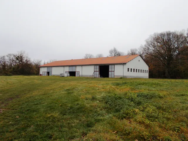 Eladó mezőgazdasági ingatlan Sümeg 2300 nm