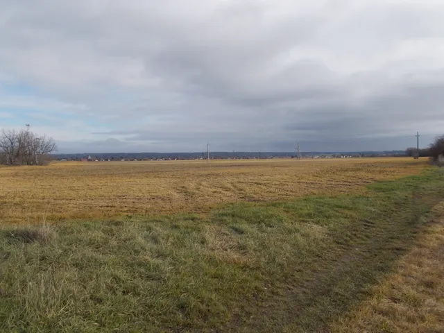 Eladó mezőgazdasági ingatlan Berhida 246070 nm