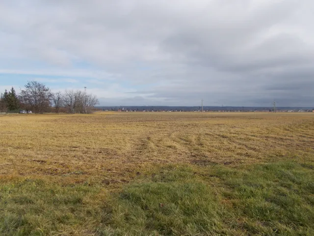 Eladó mezőgazdasági ingatlan Berhida 246070 nm