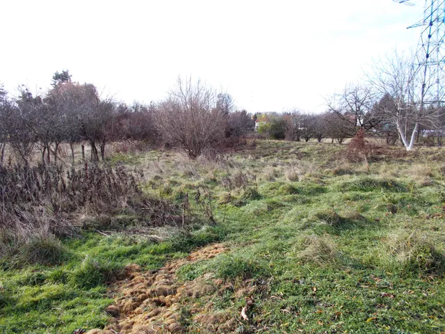 Eladó telek Ajka 6075 nm