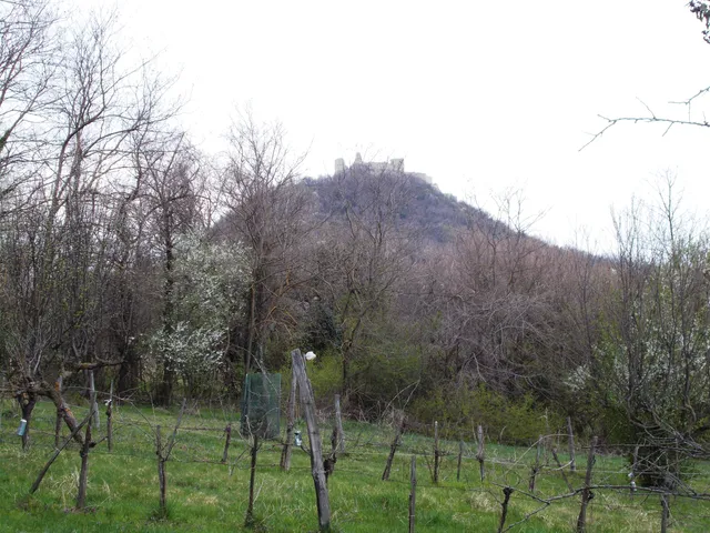 Eladó telek Szigliget 2126 nm