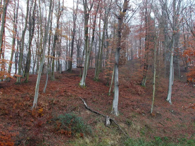 Eladó mezőgazdasági ingatlan Rinyakovácsi 370000 nm