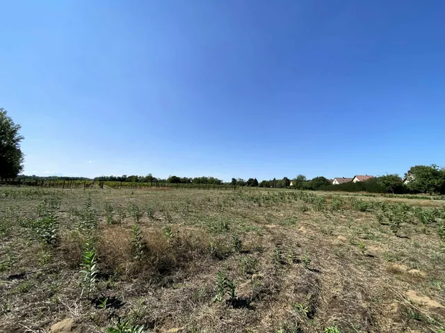 Eladó telek Kiskunmajsa 12445 nm