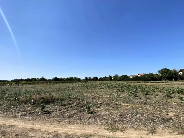 Eladó telek Kiskunmajsa 12445 nm