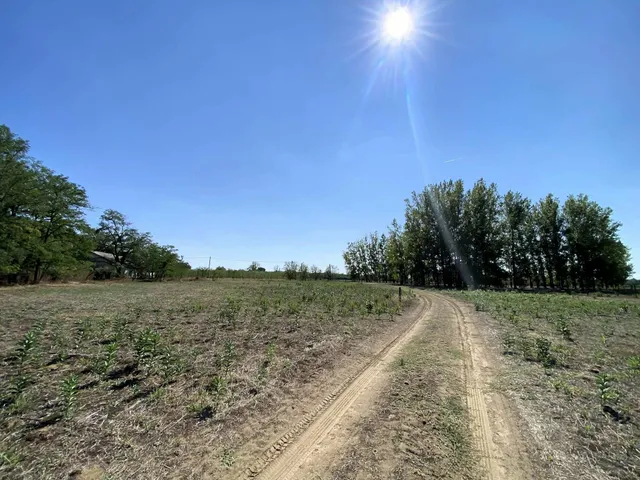 Eladó telek Kiskunmajsa 12445 nm