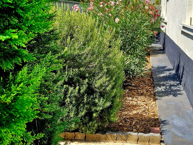 Eladó ház Vecsés, Felsőtelep 220 nm