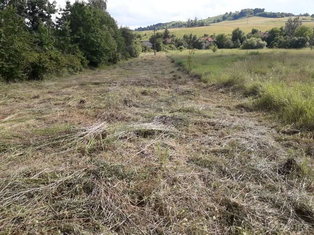 Eladó telek Parasznya 3395 nm