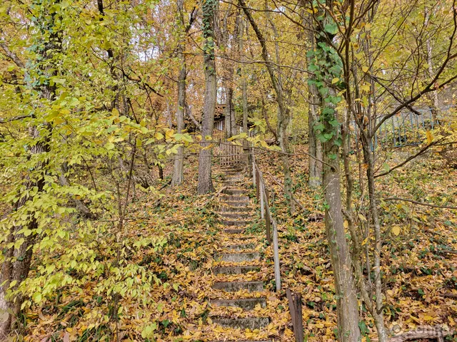 Eladó telek Kismaros, Börzsönyliget 1003 nm