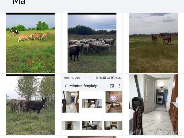 Eladó mezőgazdasági ingatlan Ároktő 1200 nm