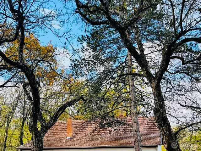 Eladó ház Mikebuda 75 nm