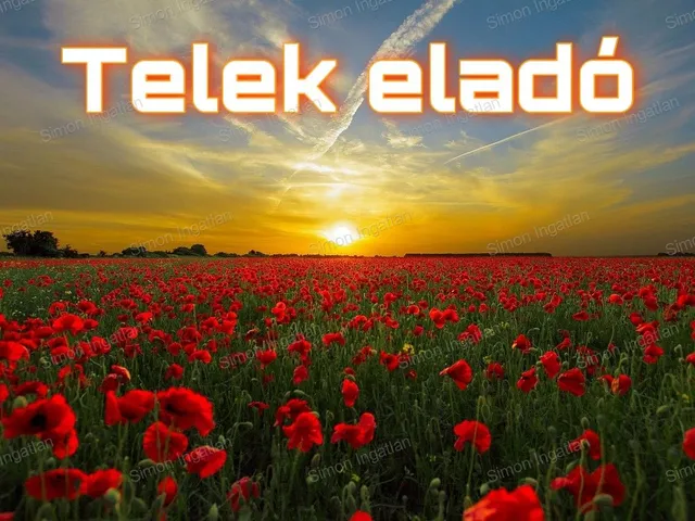 Eladó mezőgazdasági ingatlan Kecskemét, Felsőszéktó 1536 nm