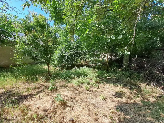 Eladó telek Kecskemét, Petőfiváros 707 nm