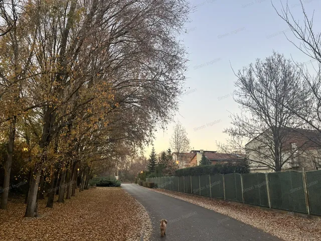 Eladó ház Kecskemét 420 nm