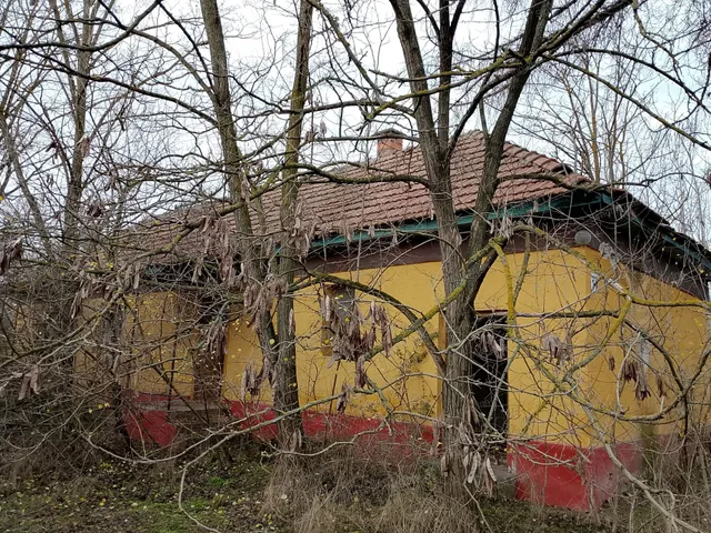 Eladó mezőgazdasági ingatlan Kecskemét, Szolnokihegy 90 nm