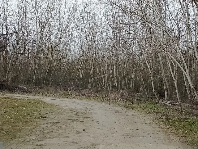Eladó mezőgazdasági ingatlan Kecskemét, Szolnokihegy 90 nm