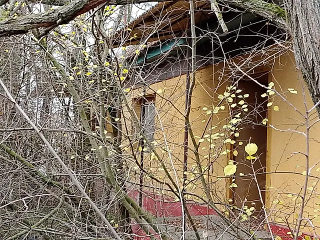 Eladó mezőgazdasági ingatlan Kecskemét, Szolnokihegy 90 nm