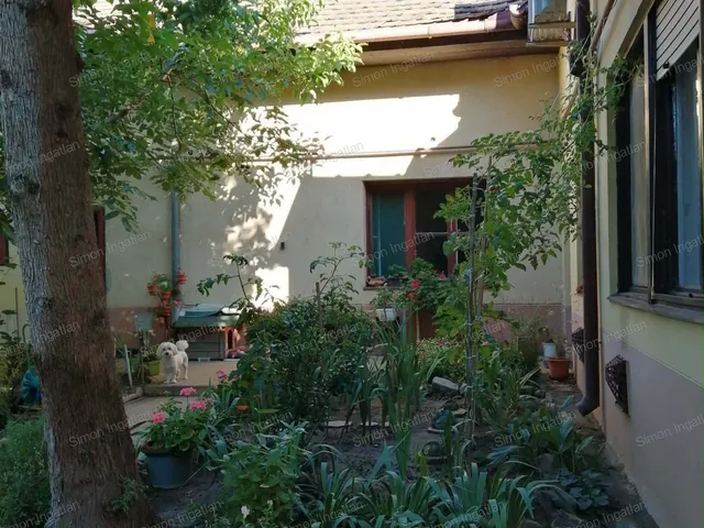 Eladó ház Kecskemét, Belváros 196 nm